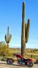 My bike and Cactus.jpg